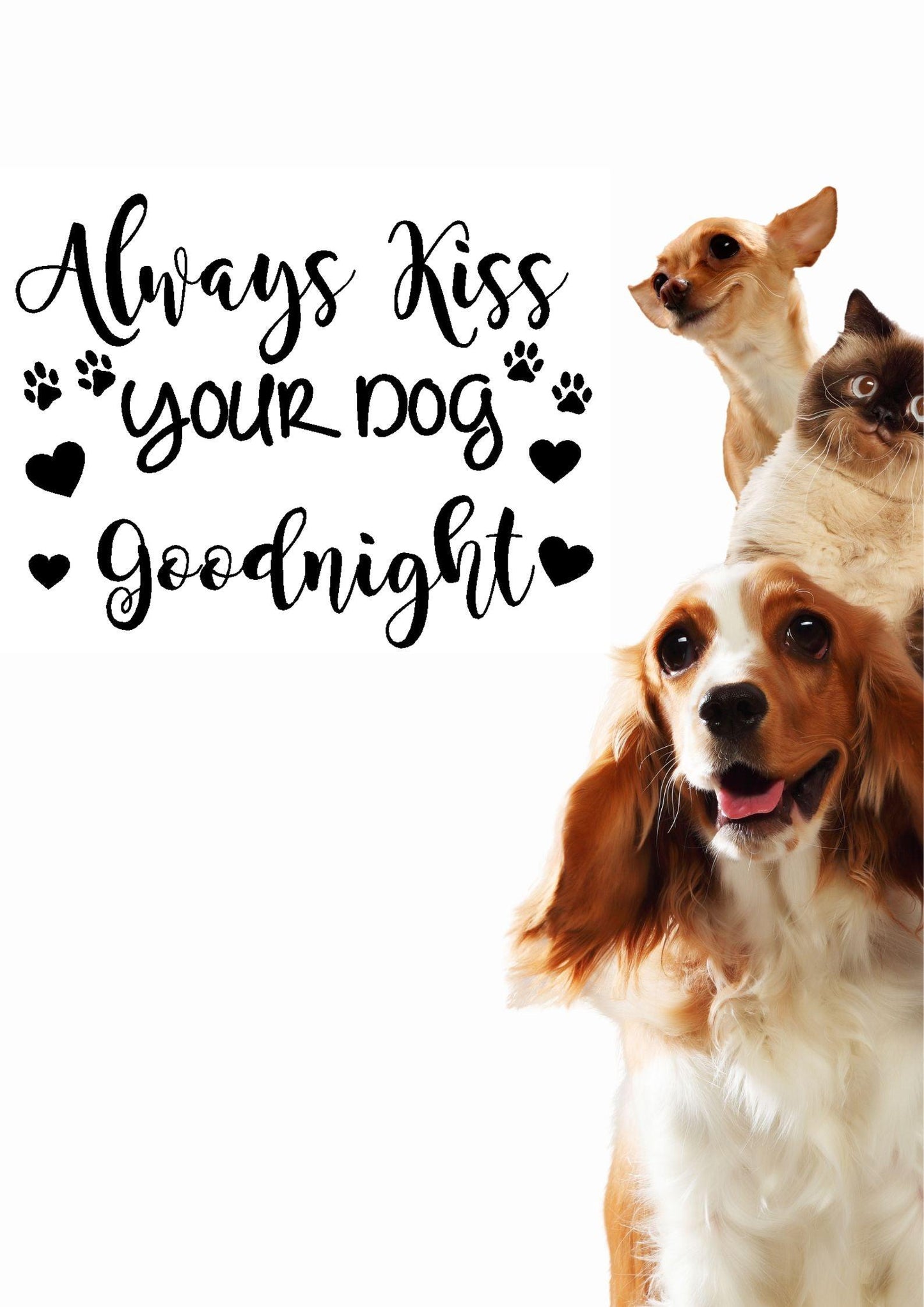 Always kiss your dog goodnight - Two Little Giggles