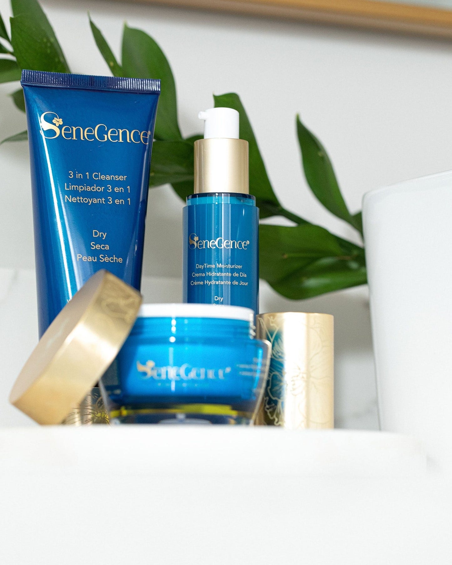 evening-moisturizer-dry