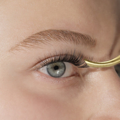 lashsense-lashes-bloom-box