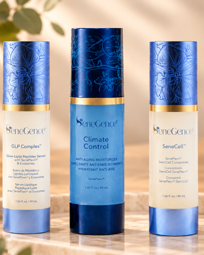 The Glow, Hydrate & Renew Trio
